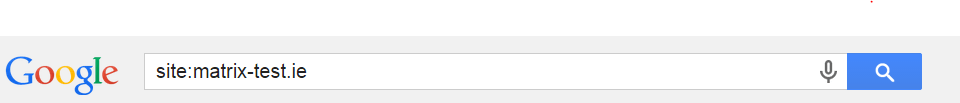 Has your Test Server been Indexed? Matrix Internet site:matrix-test.com