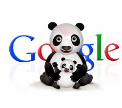 Google’s Panda!