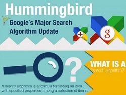 What is Google Hummingbird