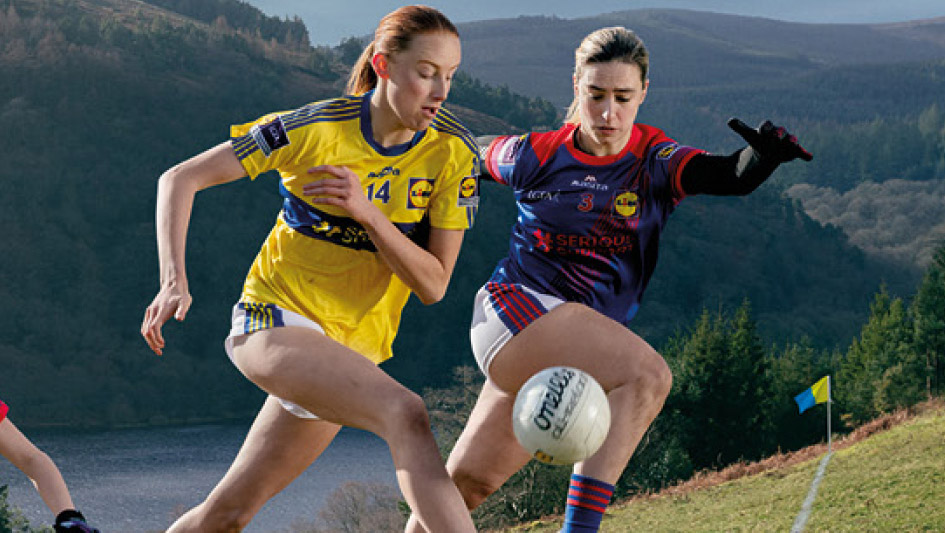 Marketing Your Irish Business Matrix Internet Ladies GAA - Grant Management Scheme Banner