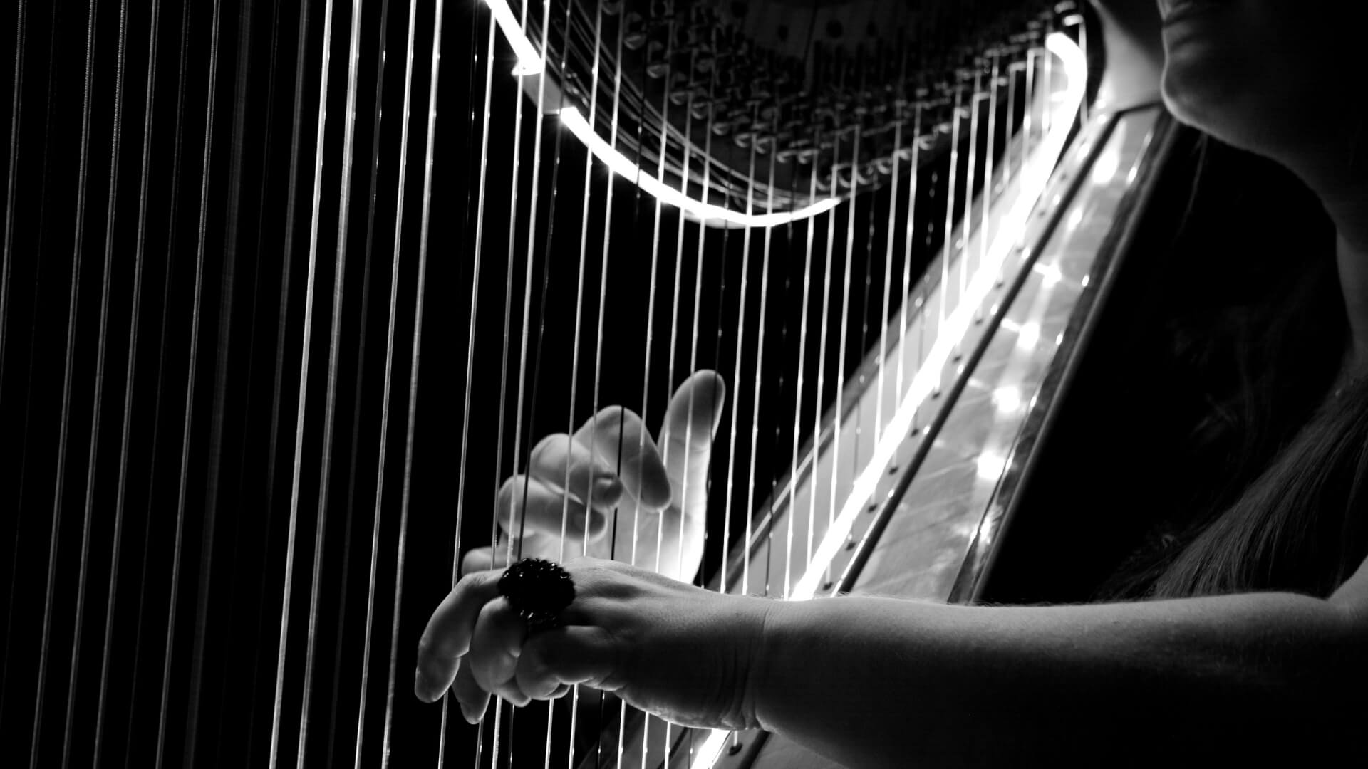 Fáilte to the harp emoji Matrix Internet Close-up of a harpist's hand playing a harp