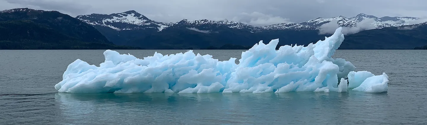 An iceberg floating in the sea