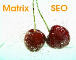 How often should I blog to help my SEO efforts ?