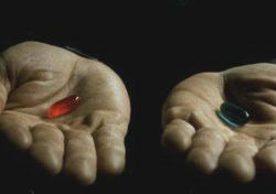 Website CMS Dilemma and Custom design website VS Pre-Built